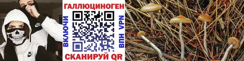 Галлюциногенные грибы мицелий Любань